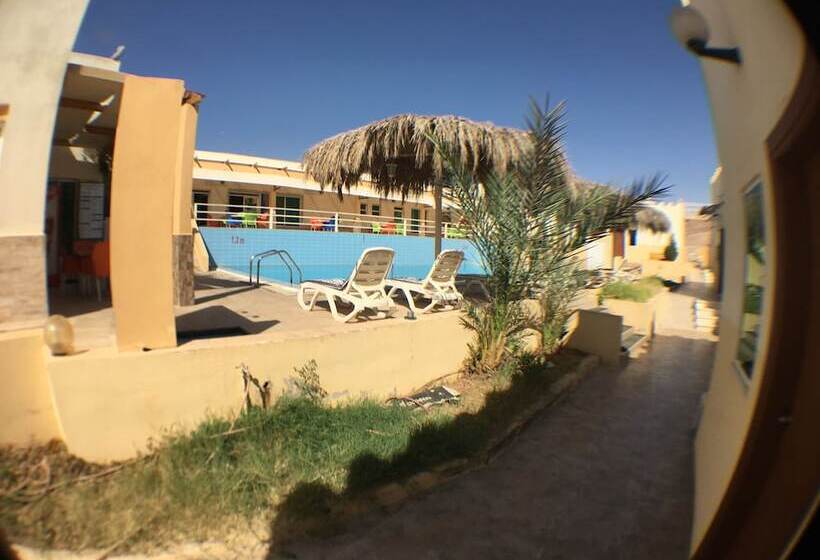 هتل Red Sea Dive Center