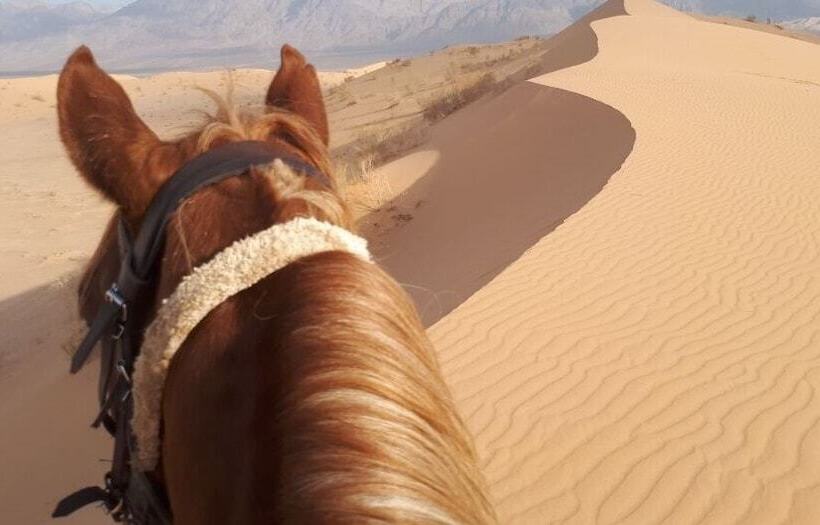 هتل Seven Wonders Luxury Camp