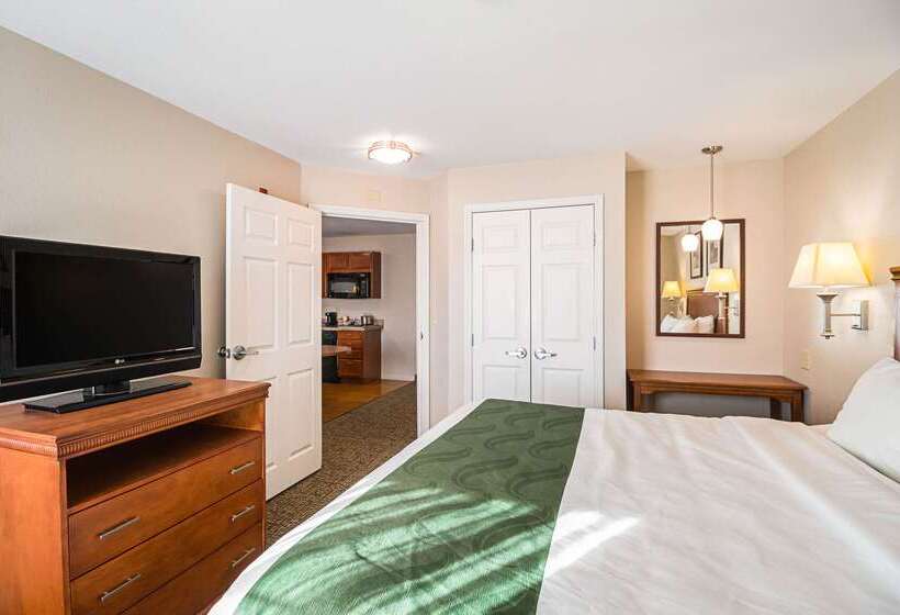 فندق Suburban Studios Waterloo