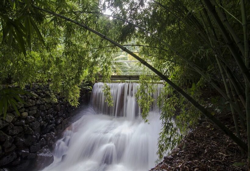 Quinta Da Mó