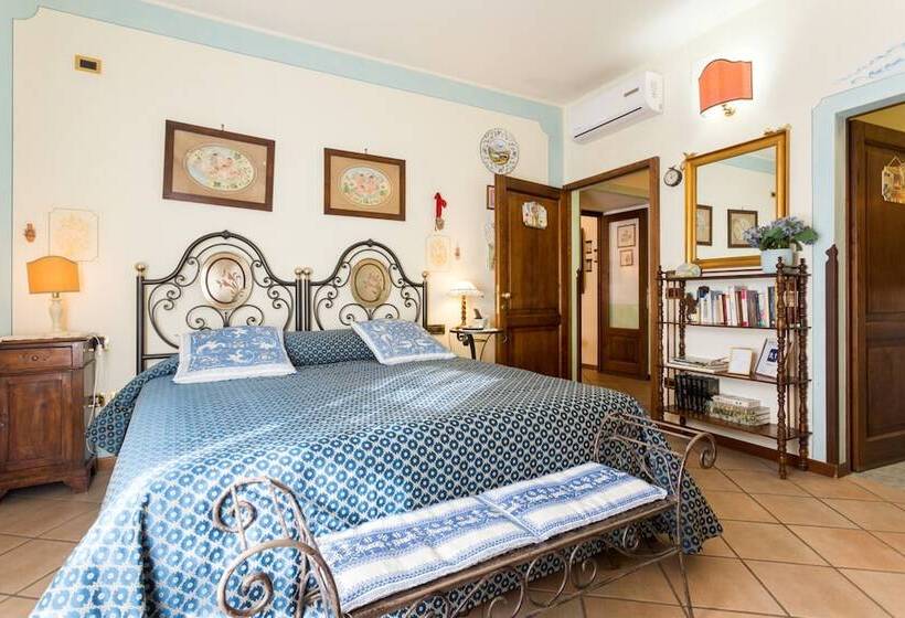 B&b New Day