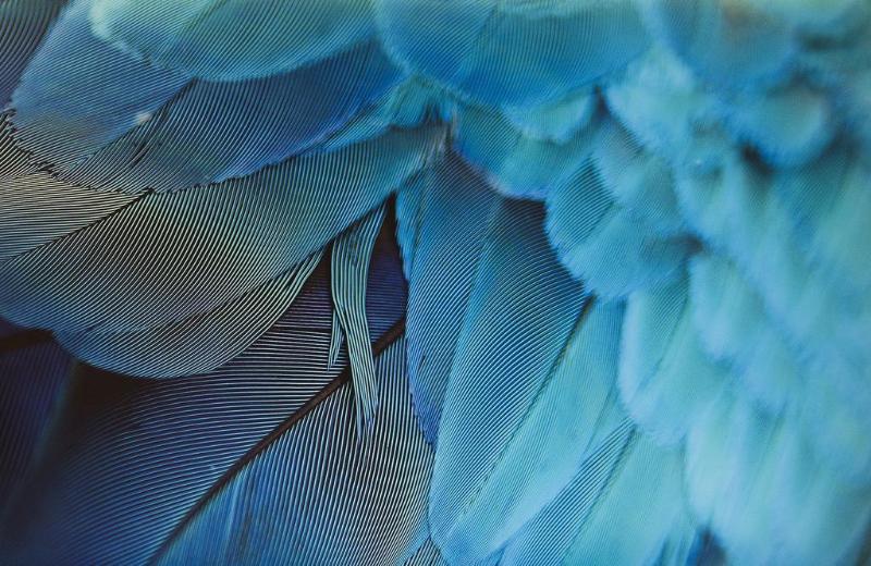 Fotos del hotel De Sèze:  12