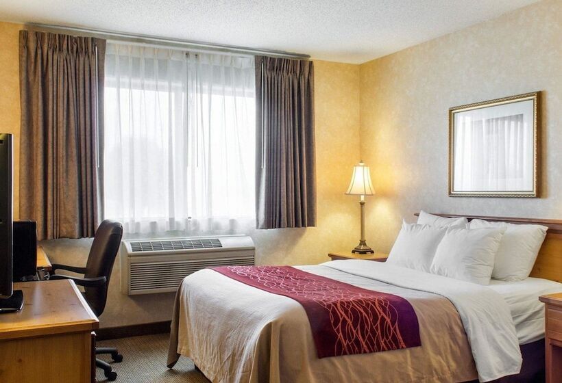 فندق Quality Inn