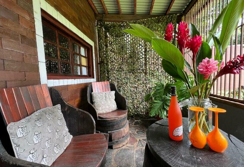 Отель Monkey Lodge Panama