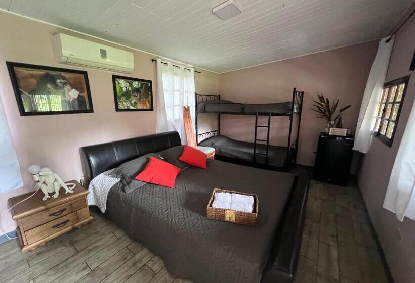 فندق Monkey Lodge Panama