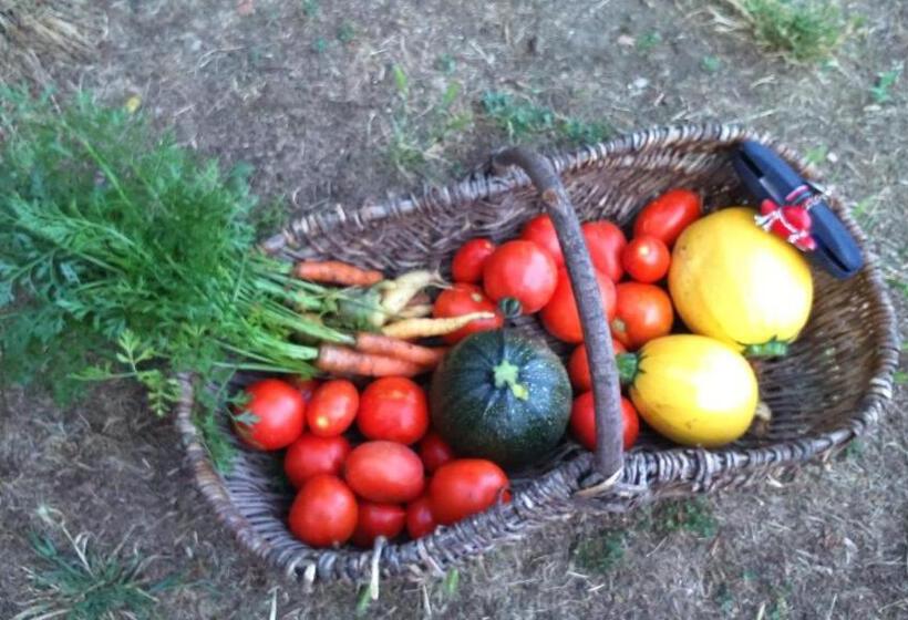 ベッドアンドブレックファースト Le Manoir De Crisolles