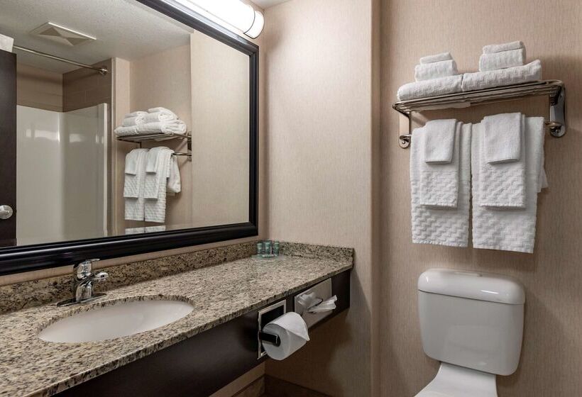 هتل Best Western Bonnyville Inn & Suites