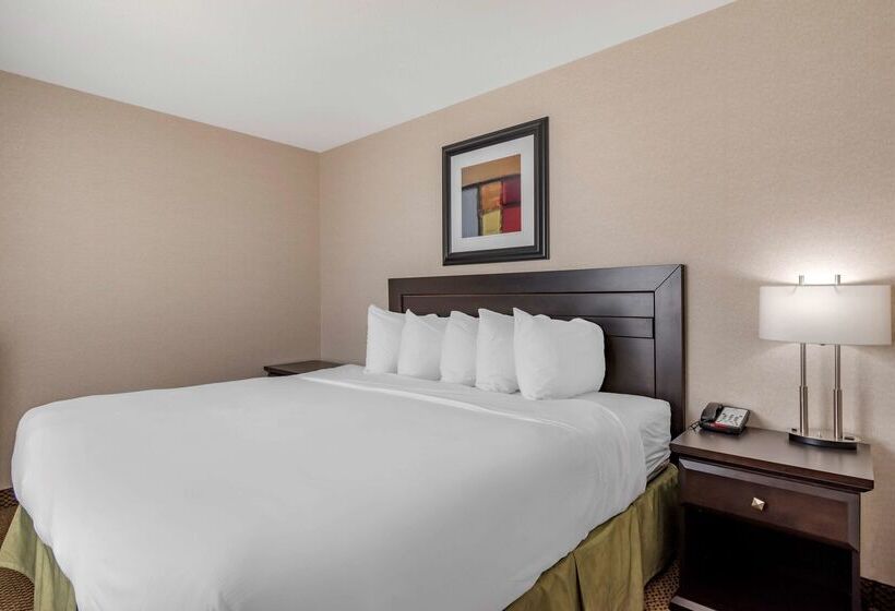 هتل Best Western Bonnyville Inn & Suites