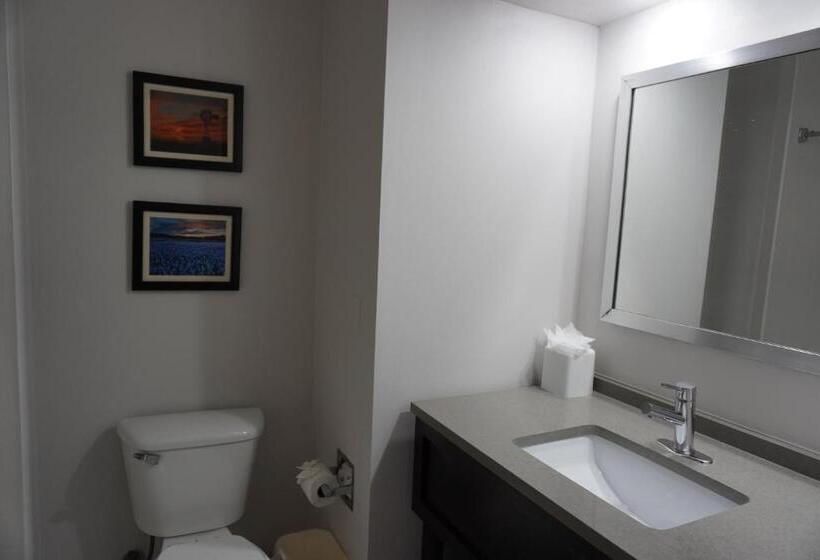 هتل Comfort Inn & Suites Frisco   Plano