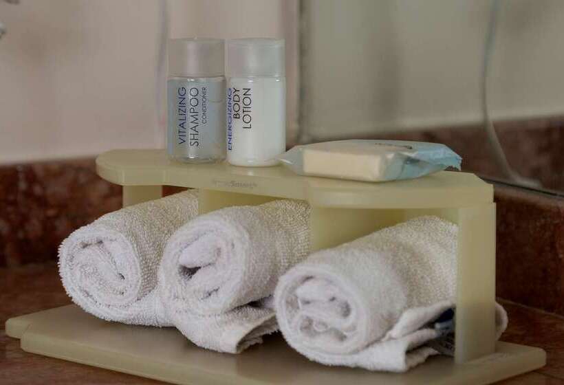 فندق Excellence Express & Suites