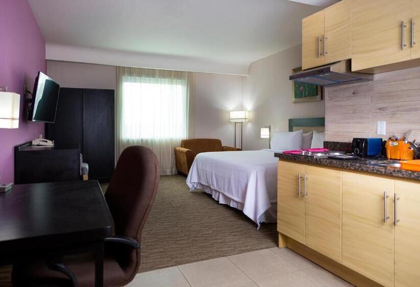 فندق Excellence Express & Suites