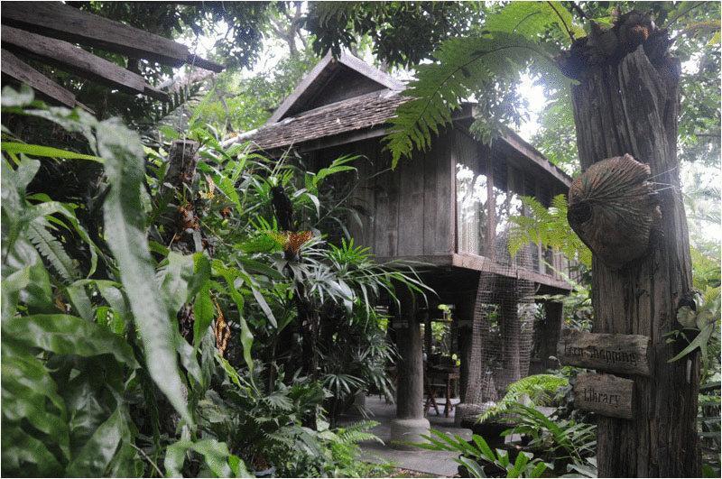 هتل Fern Paradise