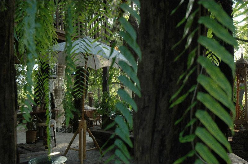 هتل Fern Paradise