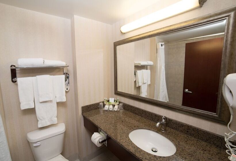 Hotel Holiday Inn Express & Suites Whitecourt