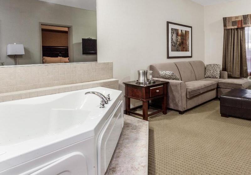 هتل Ramada By Wyndham Drayton Valley
