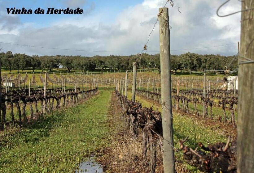 בית מלון כפרי Rural Da Ameira