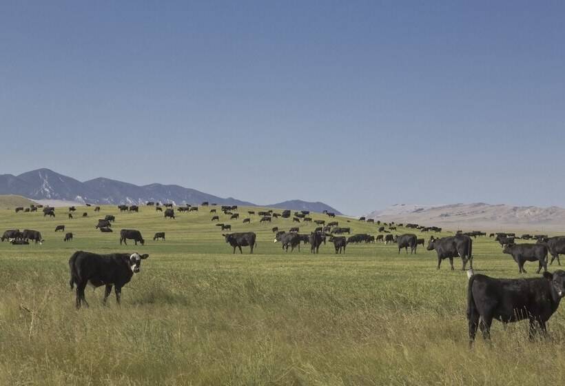 فندق Ta Ranch
