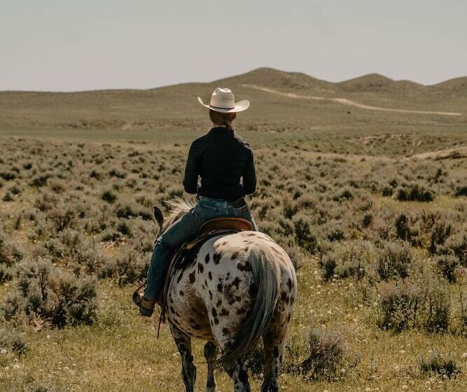 فندق Ta Ranch