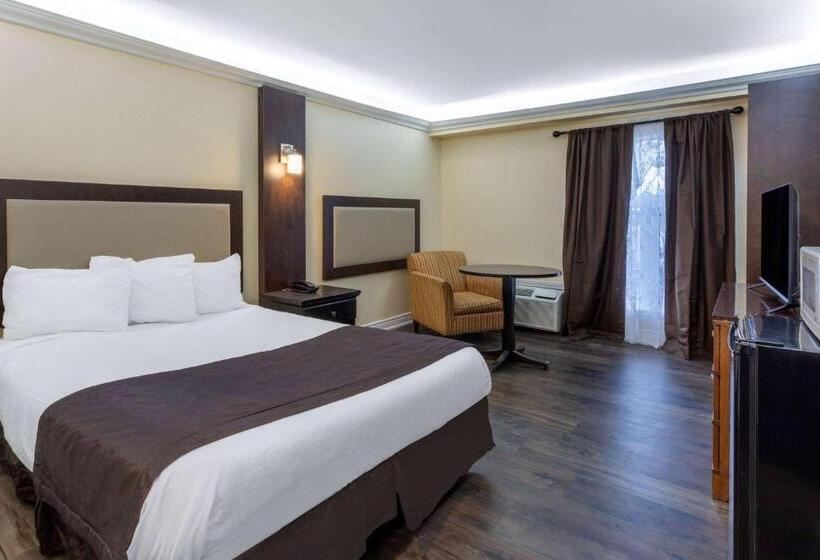 هتل Travelodge By Wyndham Sarnia