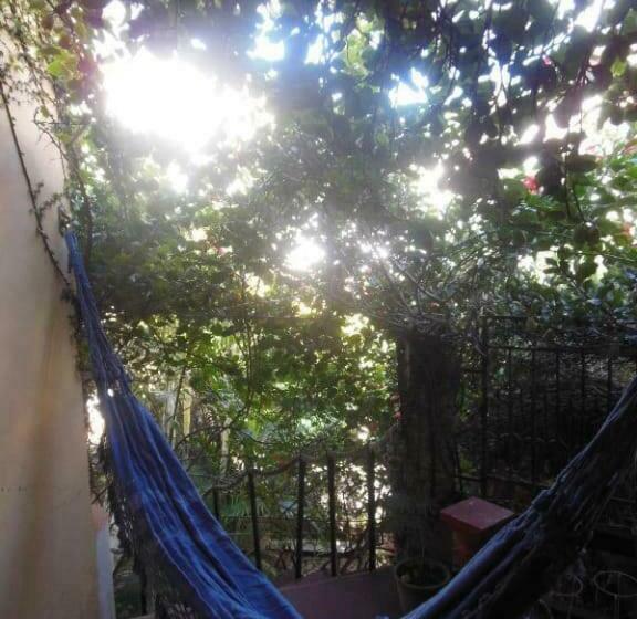 Café Hostel Kebab Salvador