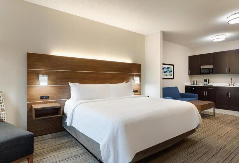 Holiday Inn Express Hotel & Suites Opelika Auburn, An Ihg