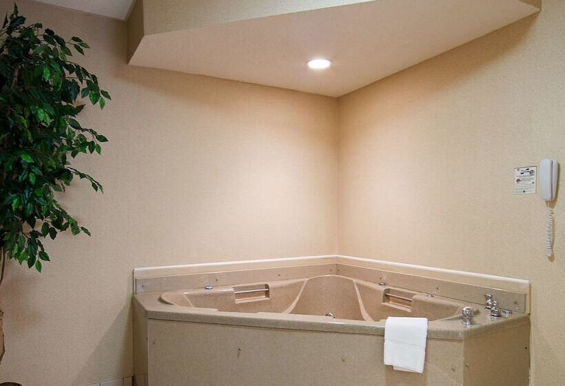 فندق Best Western Hiram Inn And Suites