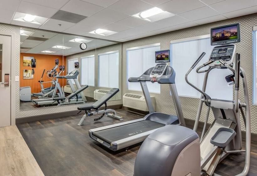 فندق Comfort Inn & Suites