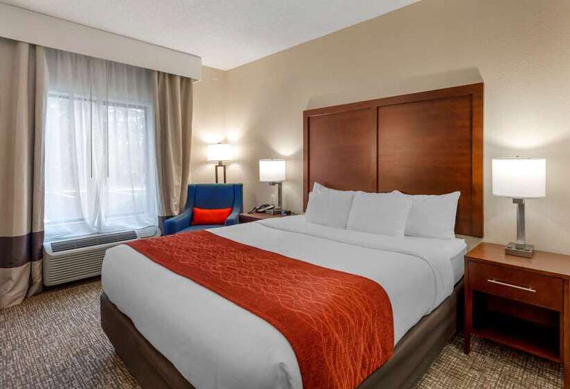 هتل Comfort & Inn Suites