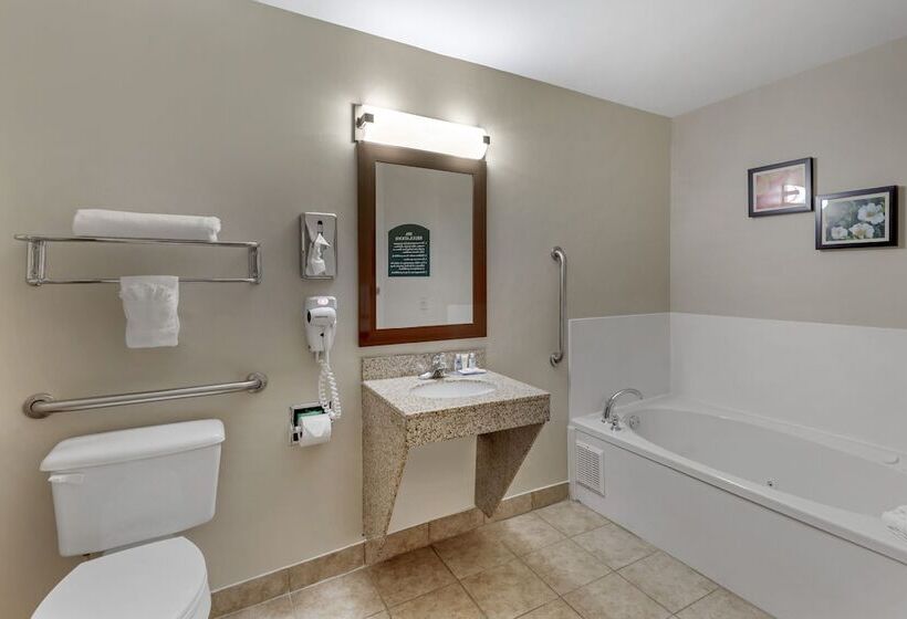 هتل Comfort & Inn Suites