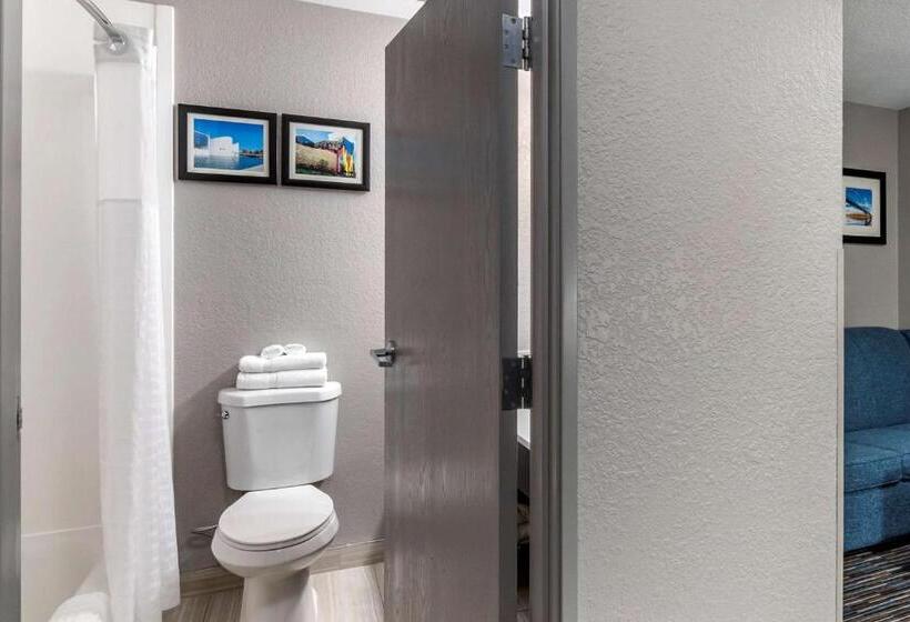 هتل Comfort Inn & Suites