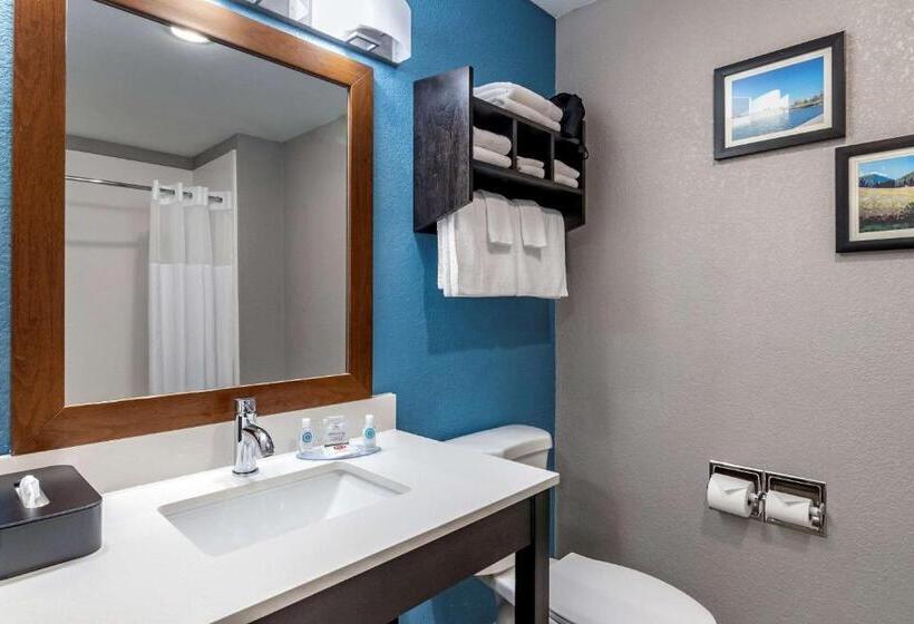 هتل Comfort Inn & Suites