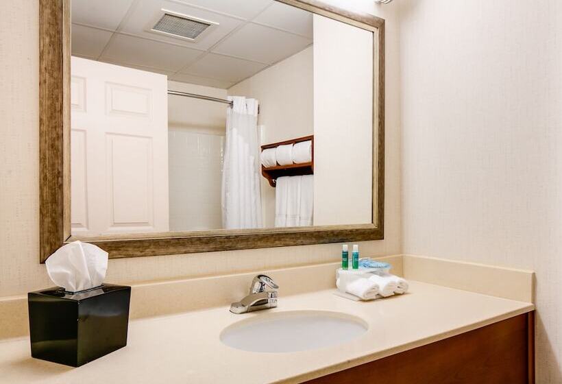 Hotel Holiday Inn Express  & Suites Coralville