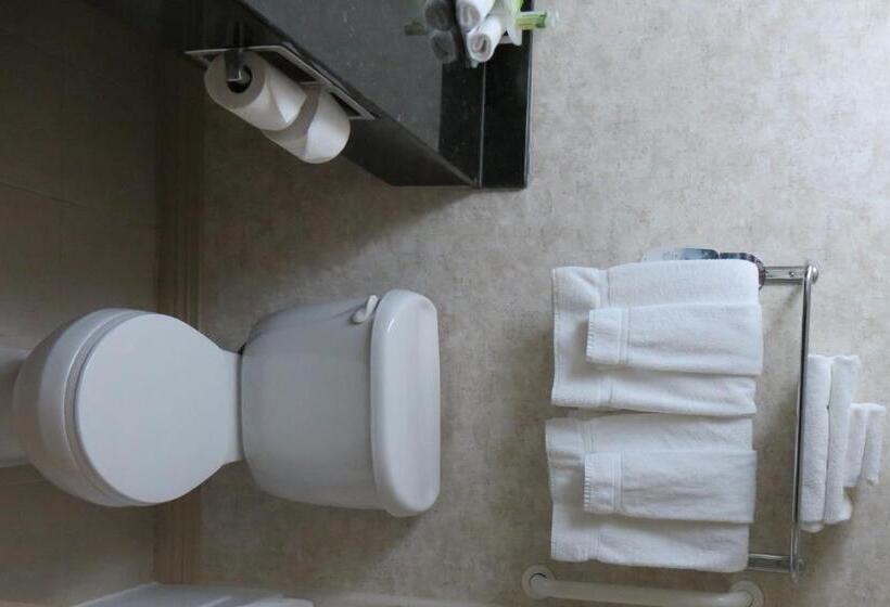 هتل Holiday Inn Express & Suites Macon   I 475, An Ihg