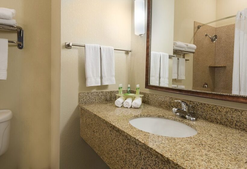 Holiday Inn Express Hotel & Suites New Iberia   Avery Island, An Ihg