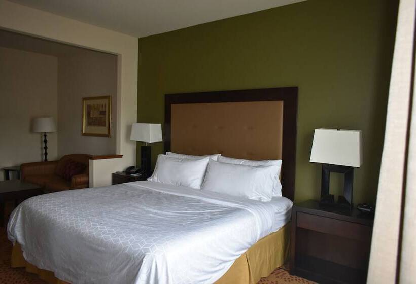 Holiday Inn Express Hotel & Suites Silt Rifle, An Ihg