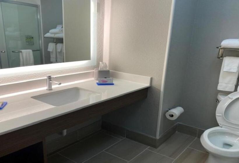 هتل Holiday Inn Express & Suites   Enterprise, An Ihg