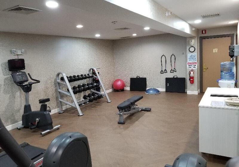 فندق Holiday Inn Express Birch Run Frankenmuth Area, An Ihg