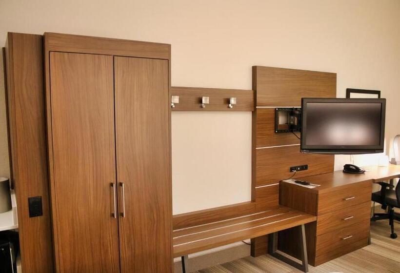 فندق Holiday Inn Express & Suites Douglas