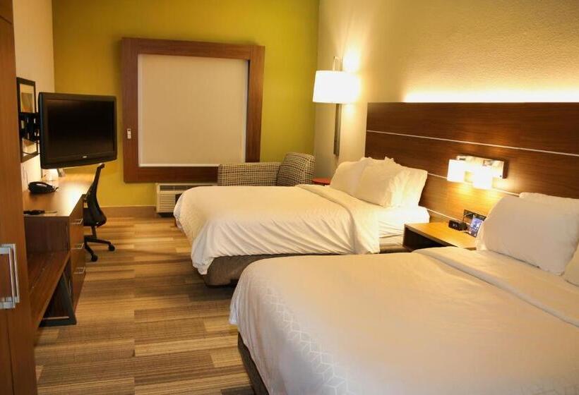 ホテル Holiday Inn Express & Suites Douglas