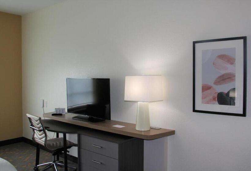 هتل Holiday Inn Southaven Central   Memphis, An Ihg