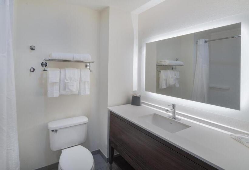 هتل Holiday Inn Southaven Central   Memphis, An Ihg