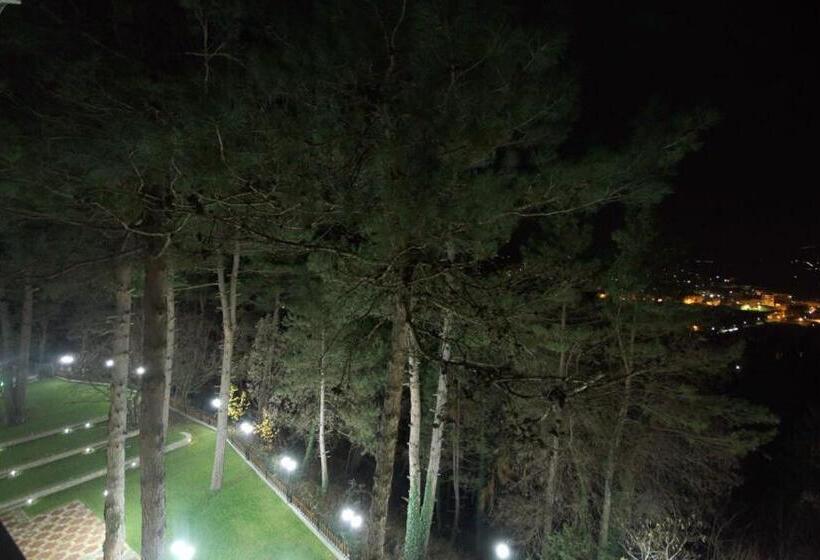 هتل Milionis Forest