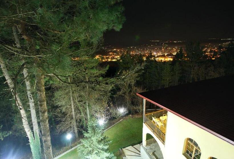 هتل Milionis Forest