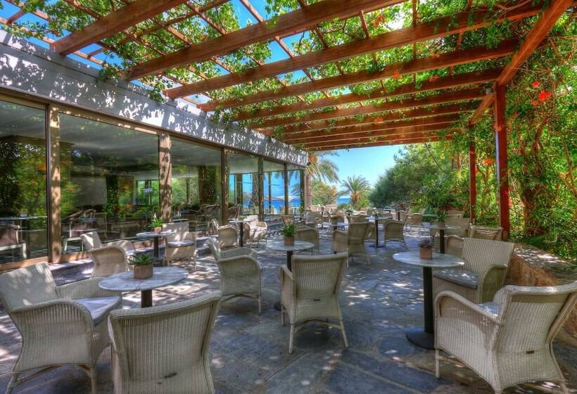 هتل Sitia Beach City Resort & Spa