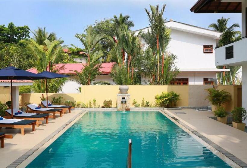 هاستل Sky And Sand Guesthouse