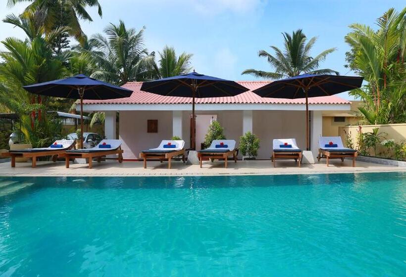 هاستل Sky And Sand Guesthouse