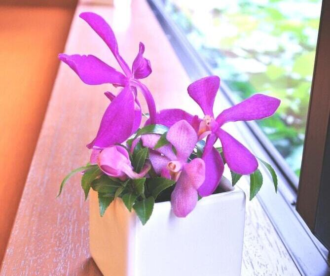 Fotos del hotel Almont Inn Tokyo Nihonbashi:  9