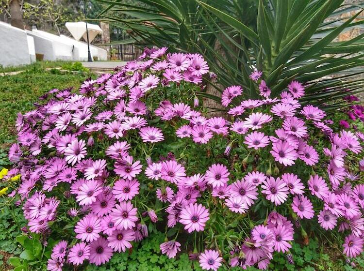 هتل Ata Lagoon Beach