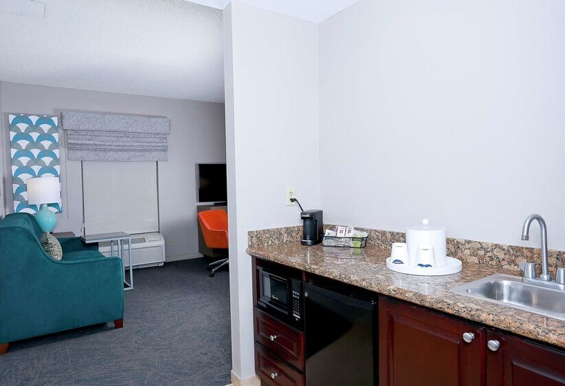 Отель Hampton Inn & Suites Tampawesley Chapel