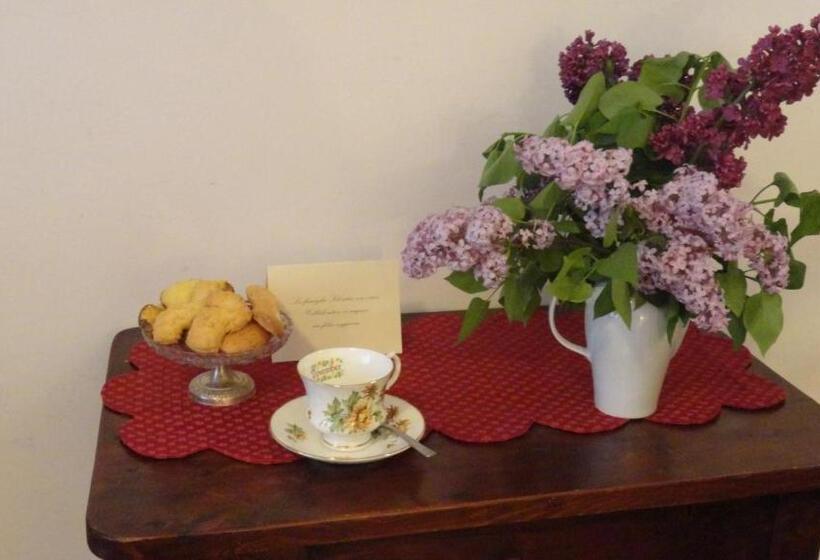 فندق Albergo & Ristorante Selvatico